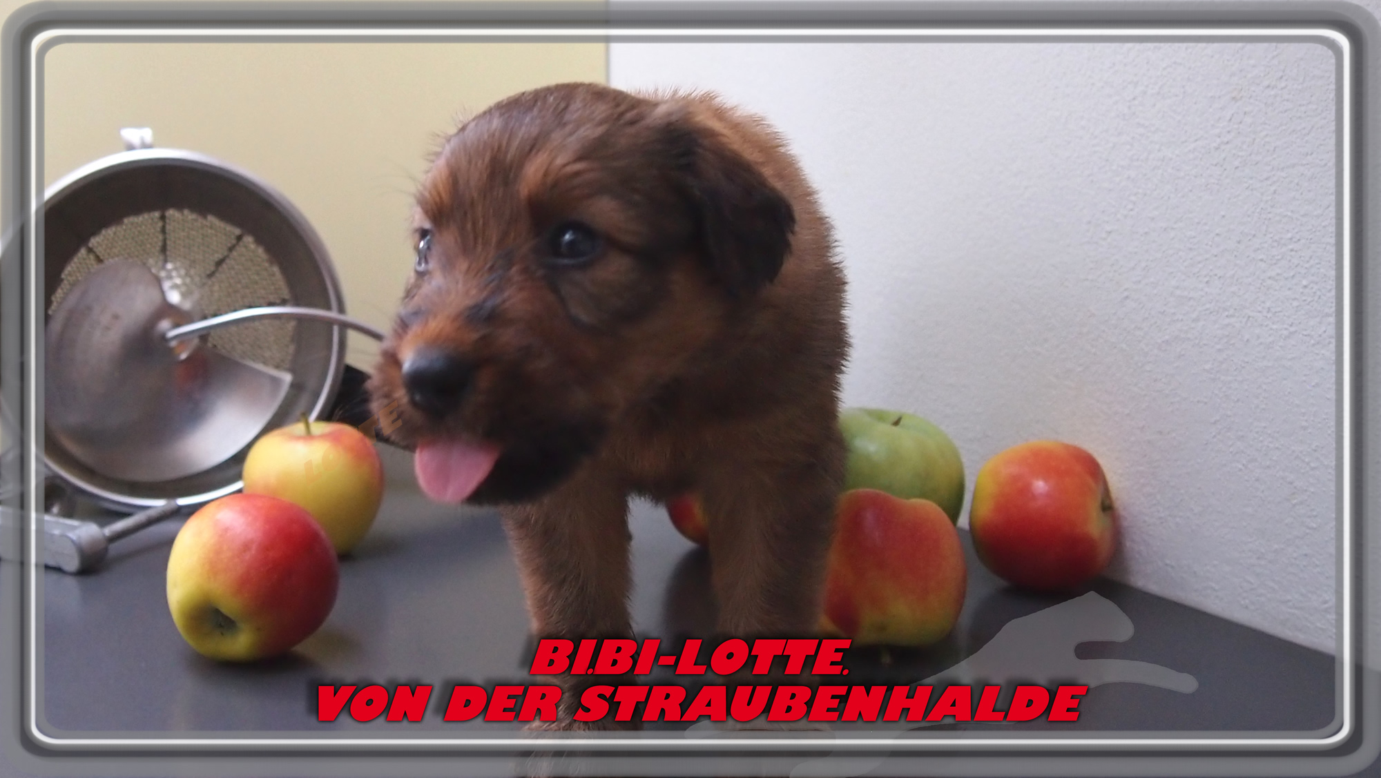 W&auml;ller von der Straubenhalde